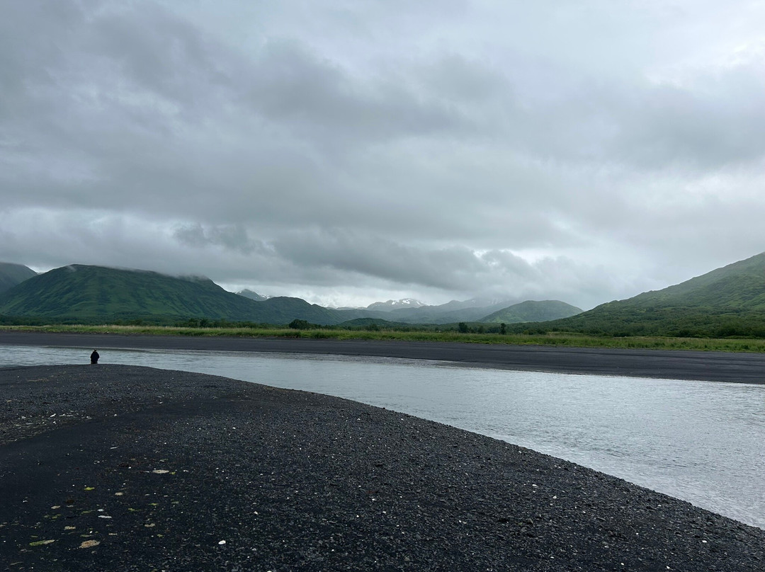 Head Shakers Kodiak-Kodiak必去景点