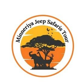 Minneriya jeep safaris tour-哈巴拉娜必去景点
