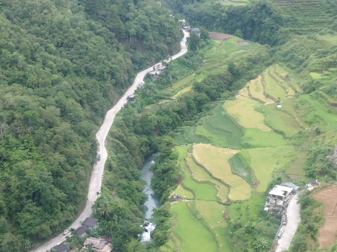 Native Village Inn主图