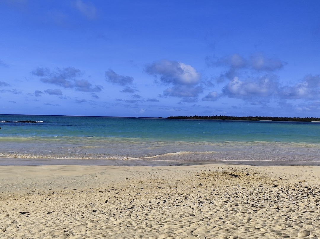 El Garrapatero-阿约拉港必去景点