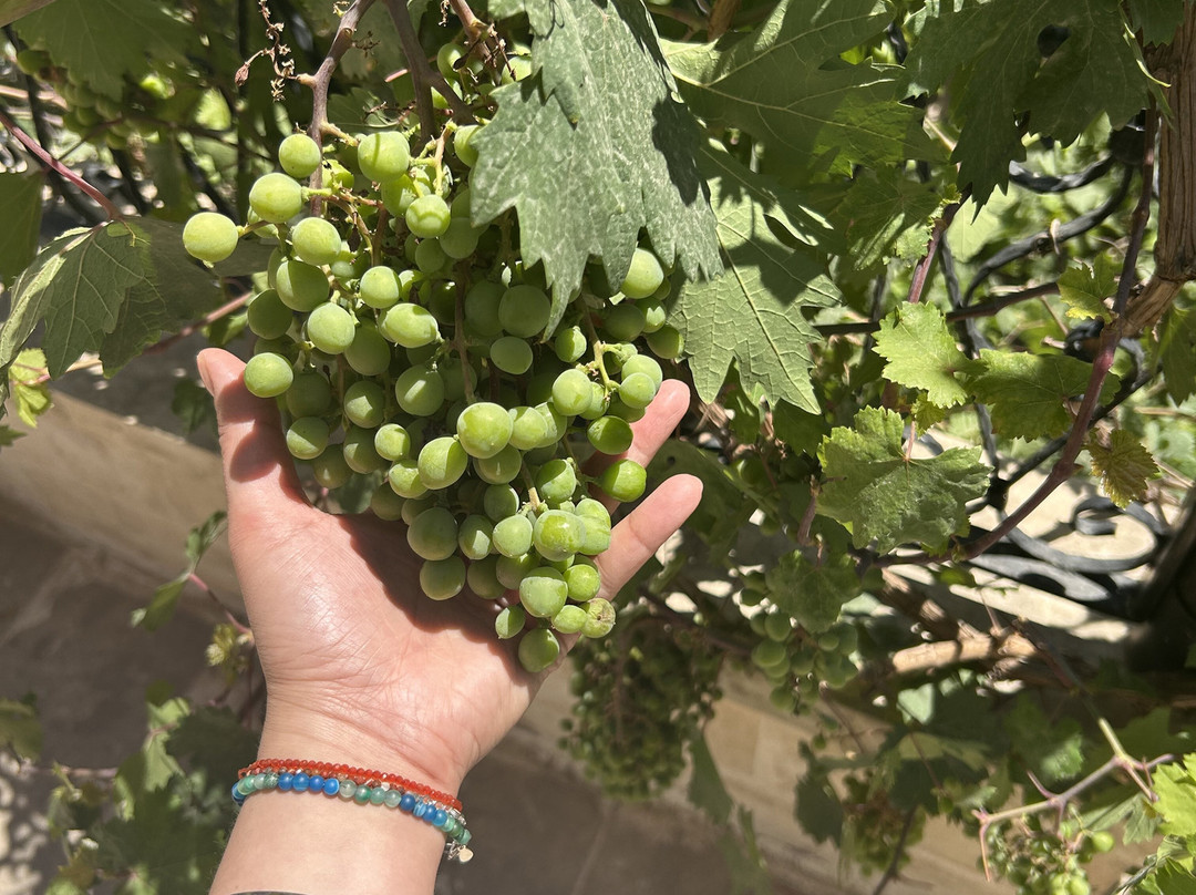 卡利鲁哈精品酒店主图