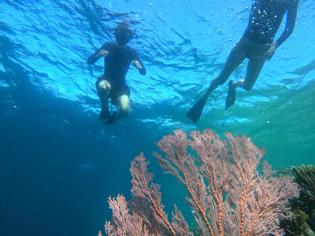 West Bali Explorer-班玉威当必去景点