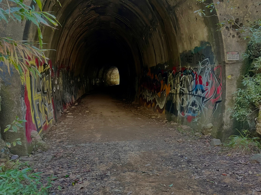 ecoTekk Sunshine Coast-Alexandra Headland必去景点