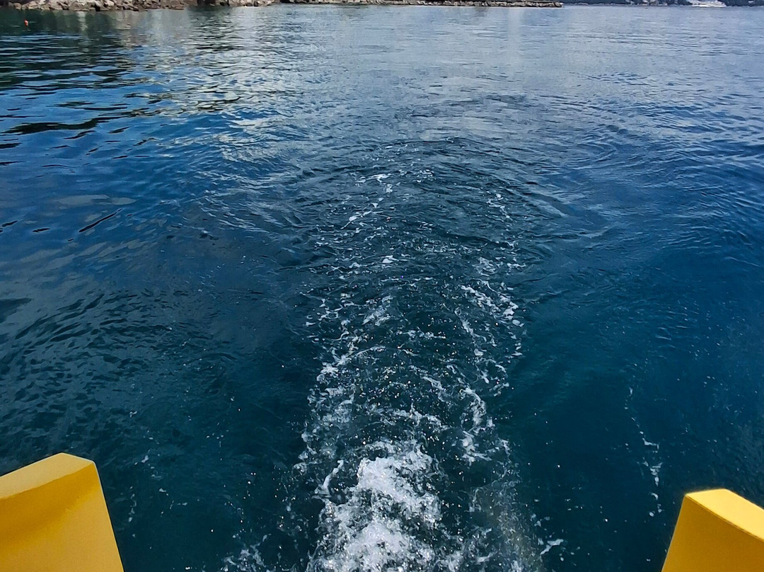 Minions Semi-Submarine adventure from Opatija-欧帕提亚必去景点