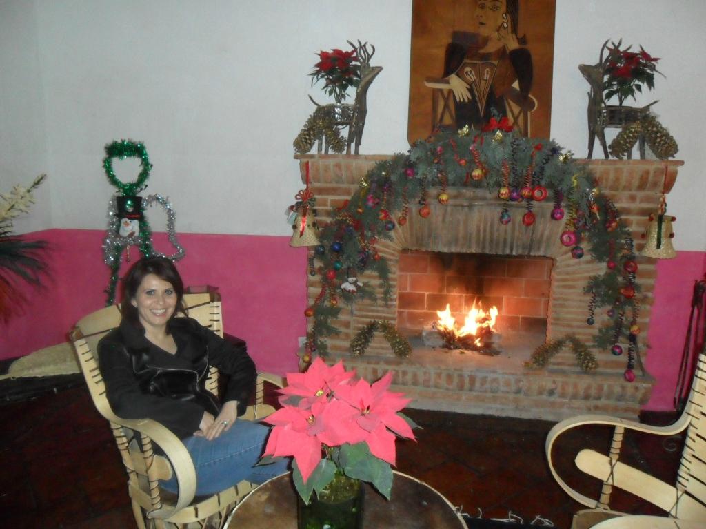 Hotel Casa Mexicana-客卧