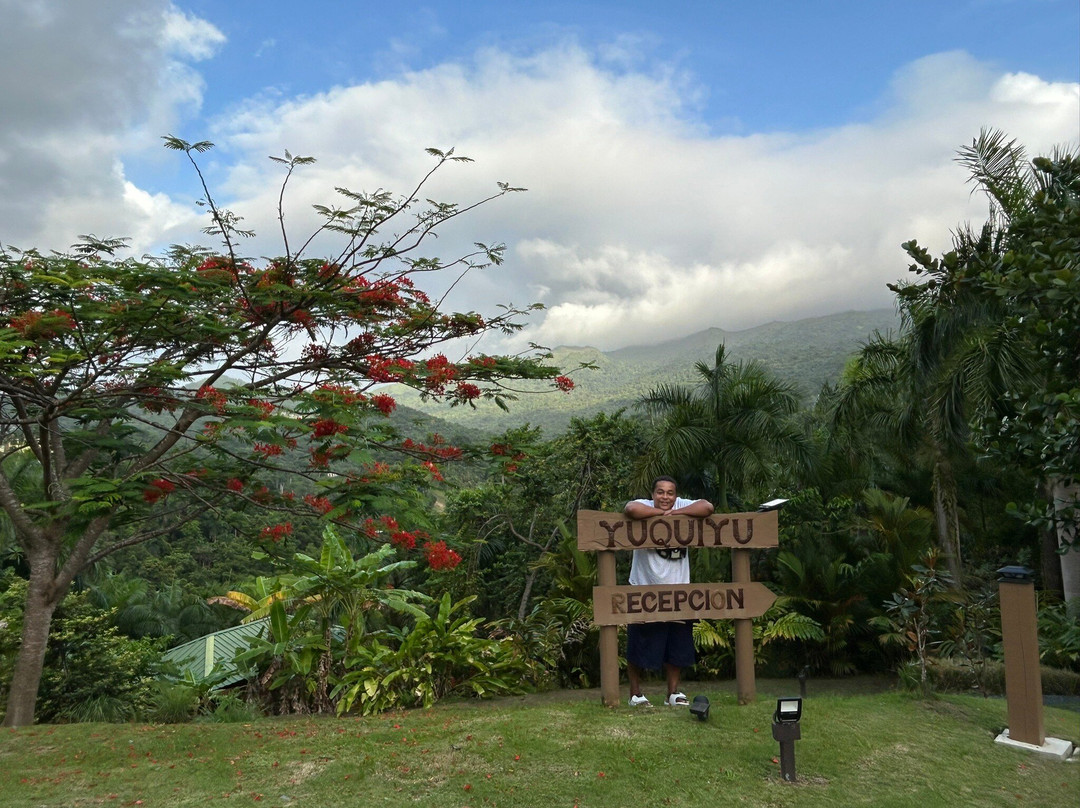 Yuquiyu Treehouses主图