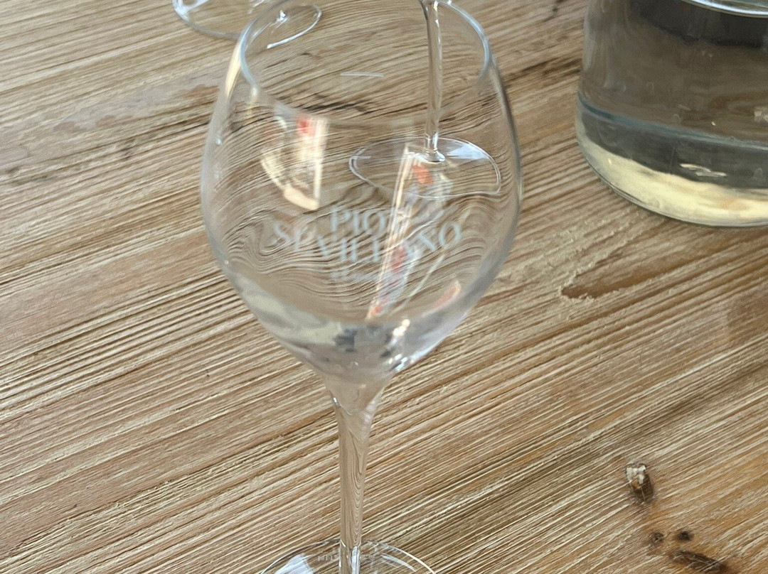 Champagne Piot-Sévillano-Vincelles必去景点