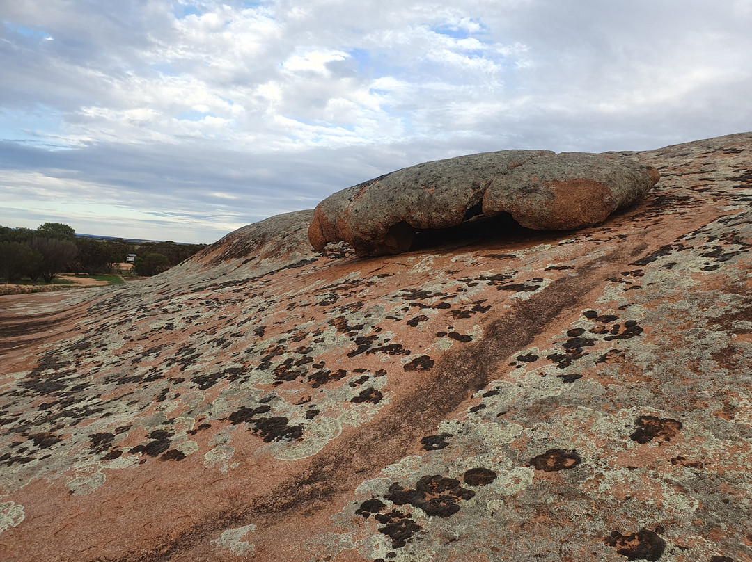 Pildappa Rock-Minnipa必去景点