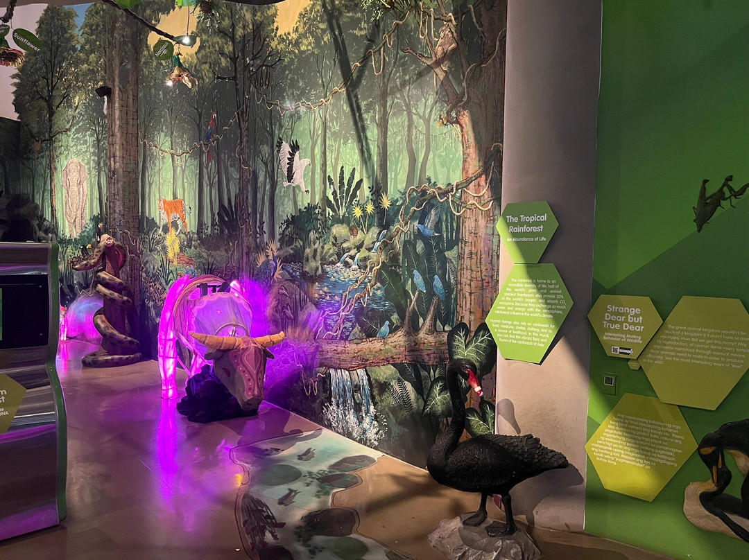 达义心灵博物馆-塔吉格必去景点