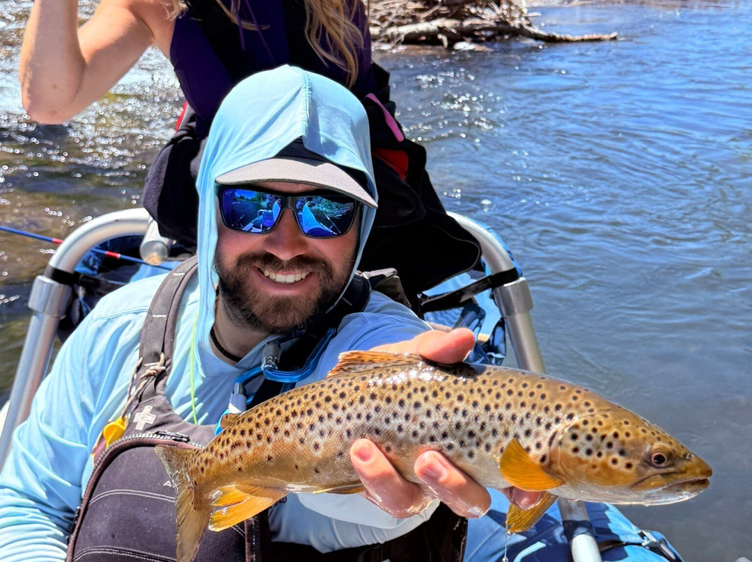 Three Rivers Resort主图