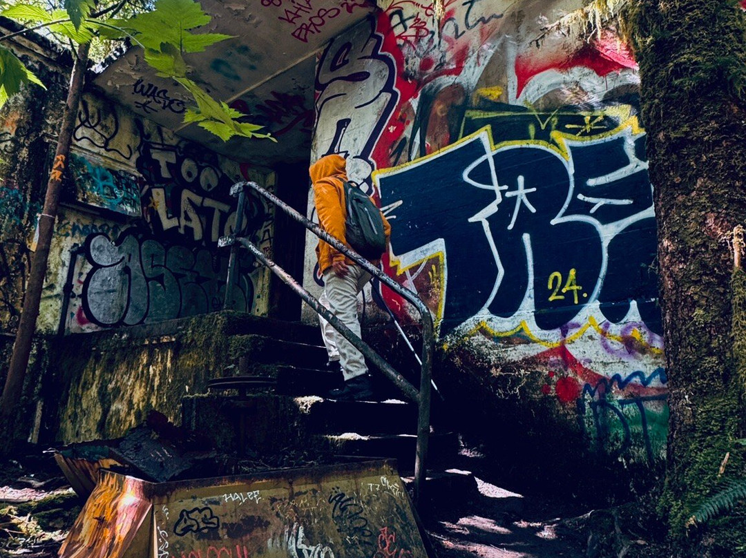 Canso Plane Crash Hike-托菲诺必去景点