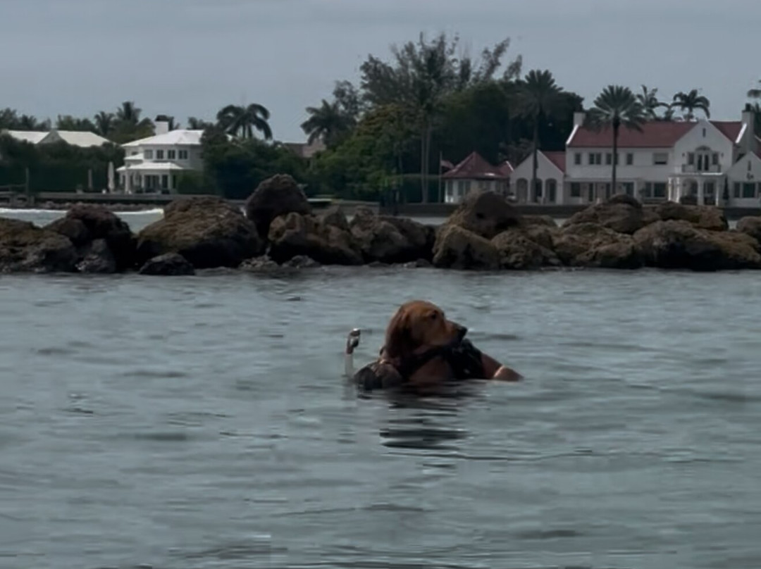 Peanut Island Shuttle Boat-Riviera Beach必去景点