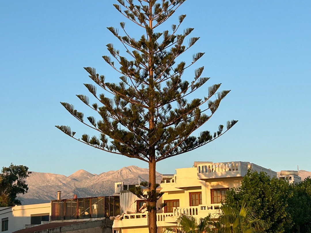 Kalivaki Beach-Georgioupolis必去景点