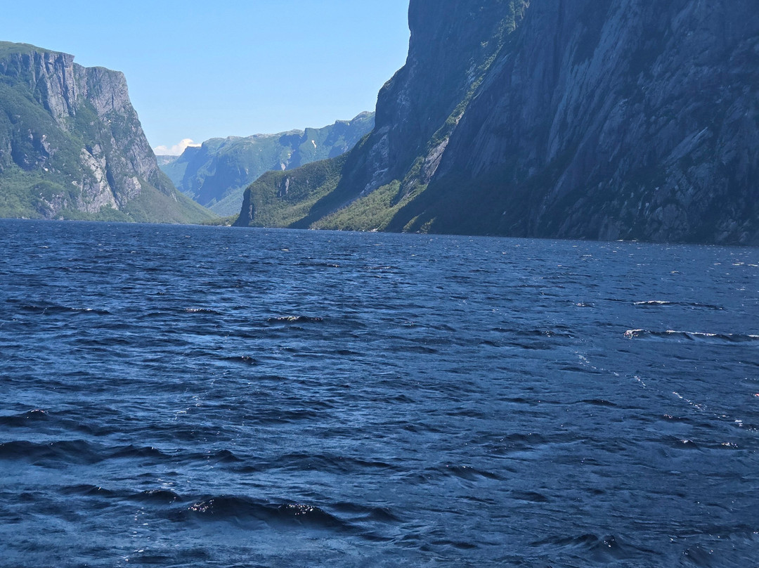 BonTours Boat Tours-Rocky Harbour必去景点