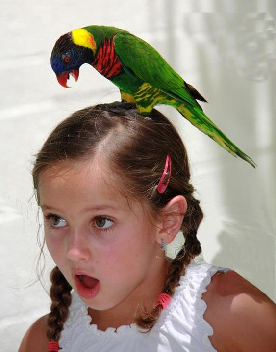 Butterfly World-Coconut Creek必去景点