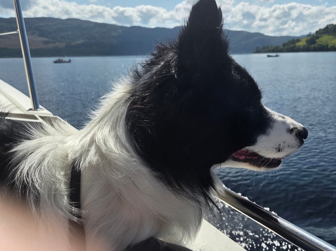 Loch Ness Cruises-德拉姆纳德罗希特必去景点
