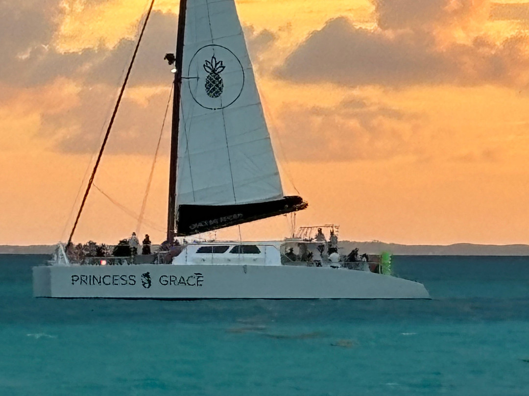 Caicos Dream Tours-普罗维登西亚莱斯必去景点