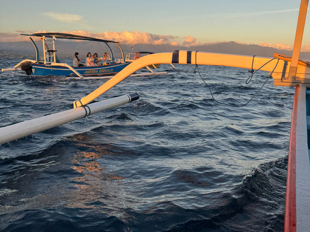 Lovina Dolphin Marine-Pemaron必去景点