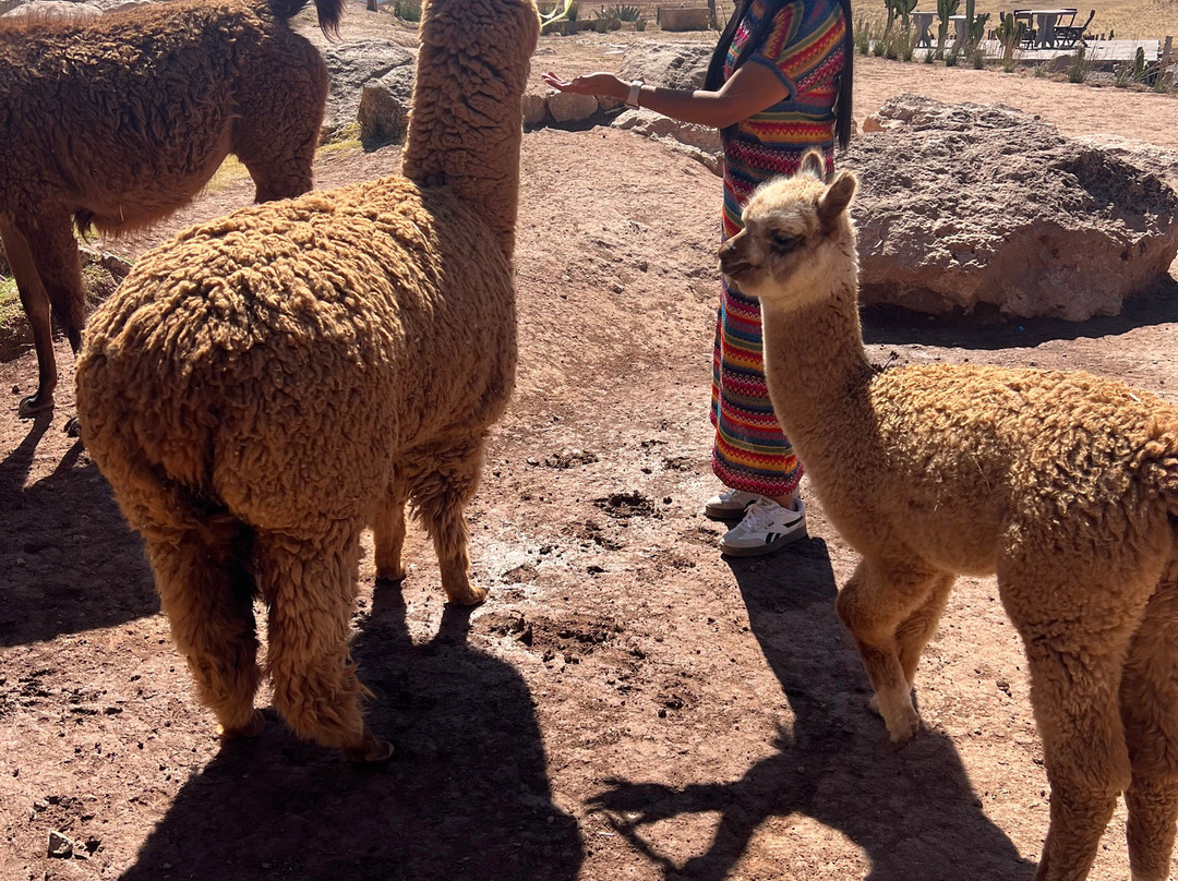 Mountain View Experiences-Maras必去景点