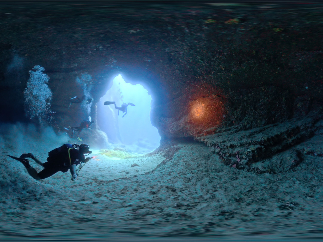 Starfish Diving School-圣朱利安斯必去景点