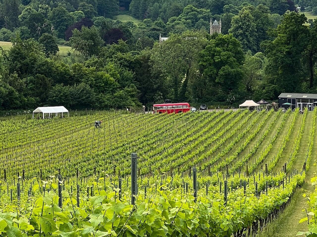 Surrey Hills Tour Company