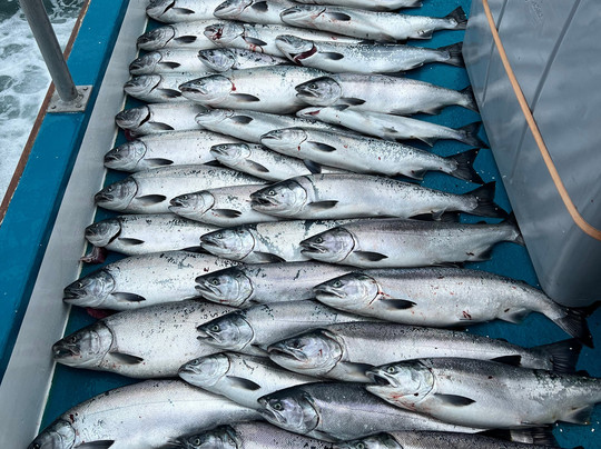 Alaska Saltwater Charters-苏厄德必去景点