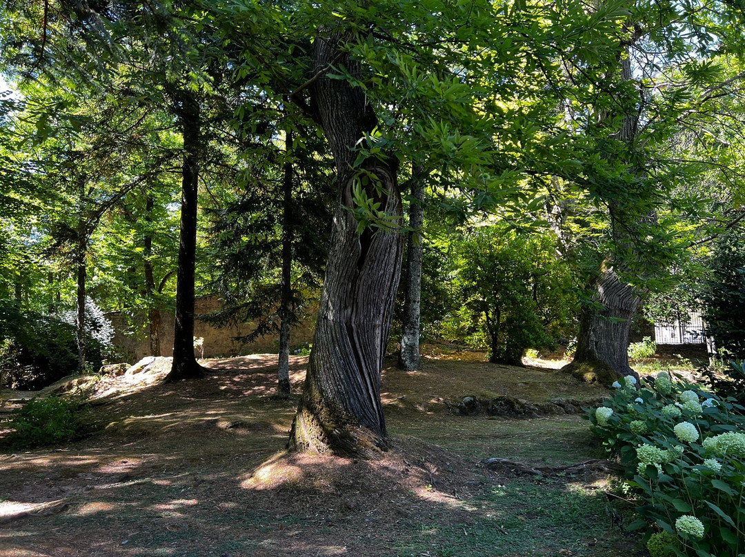La Peschiera-Santa Fiora必去景点