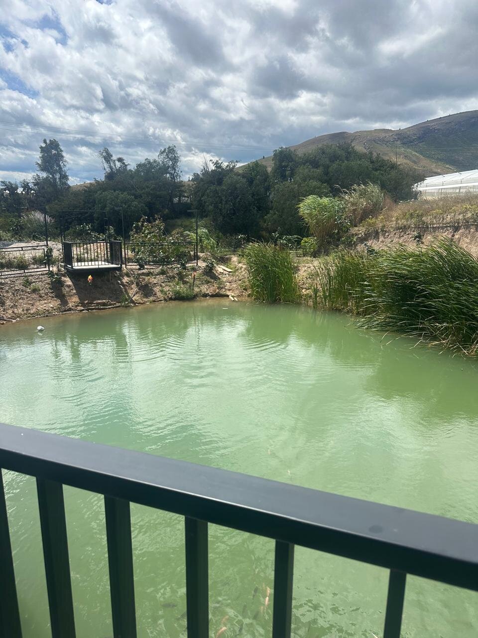 Voyaca Alojamiento y Alfarería-酒店景观