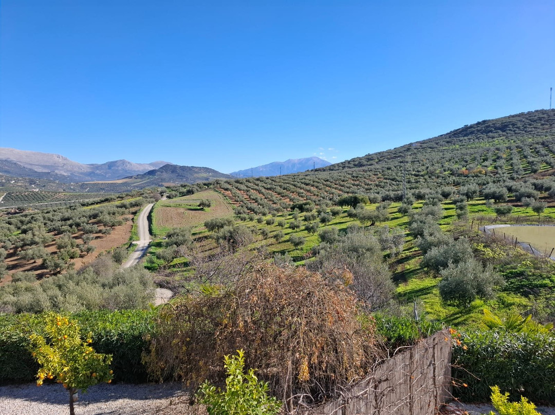 B&b Hacienda Riogordo主图