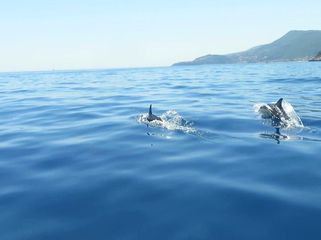 G&V Boat Rentals, Skala, Kefalonia-Skala必去景点