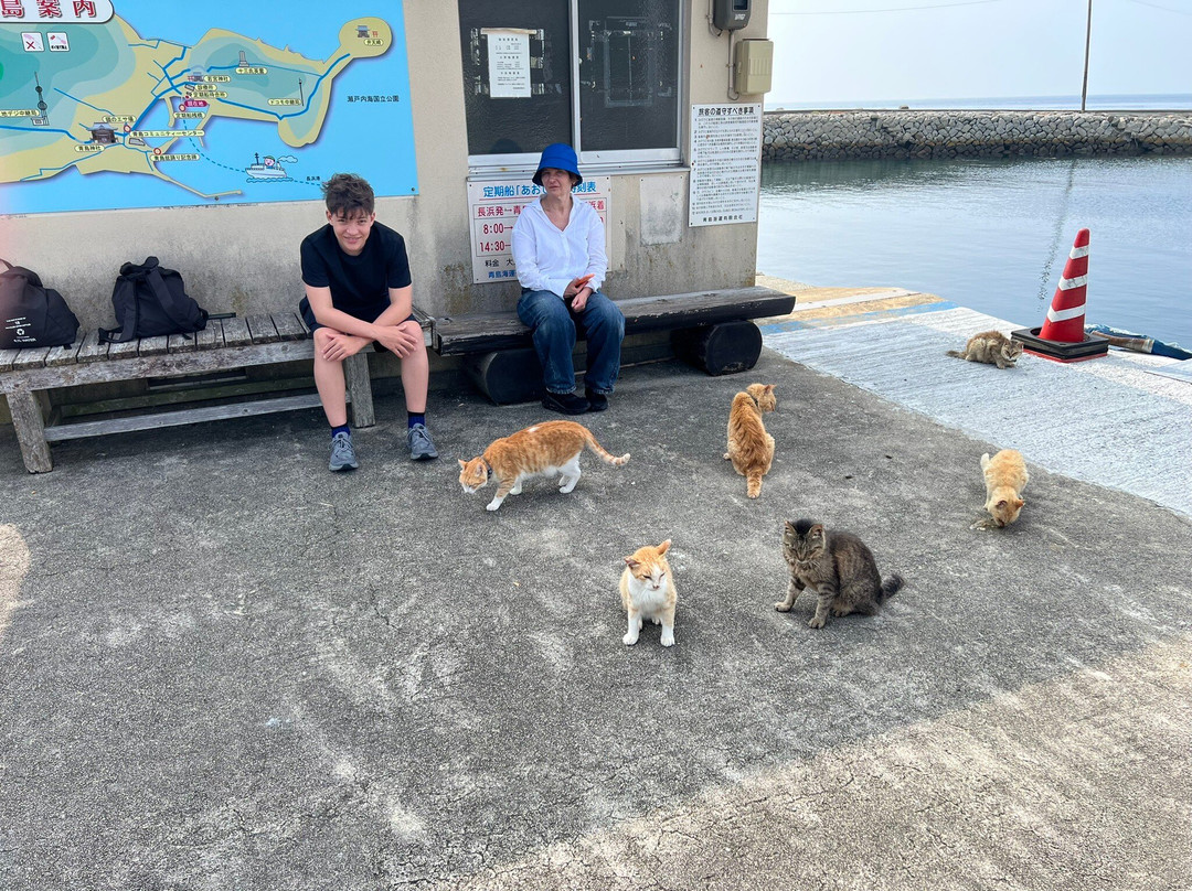 青岛-宫崎市必去景点