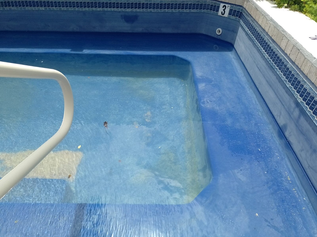 The Crane Resort主图