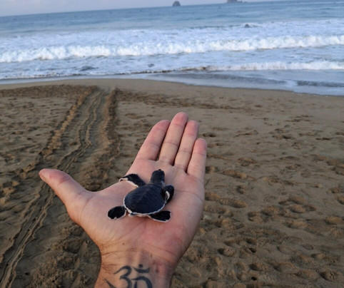 Into East Java-巴纽旺宣必去景点