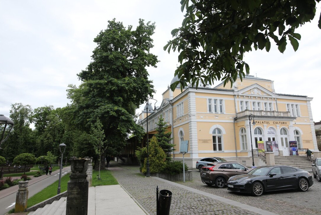 Palatul Culturii Din Bistrița-Bistrita Bargaului必去景点