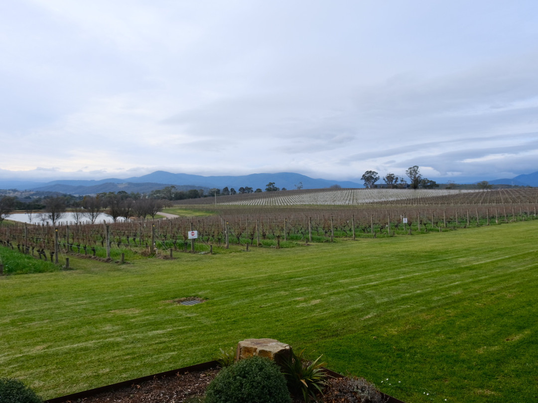 Oakridge Wines-科尔德斯特里姆必去景点