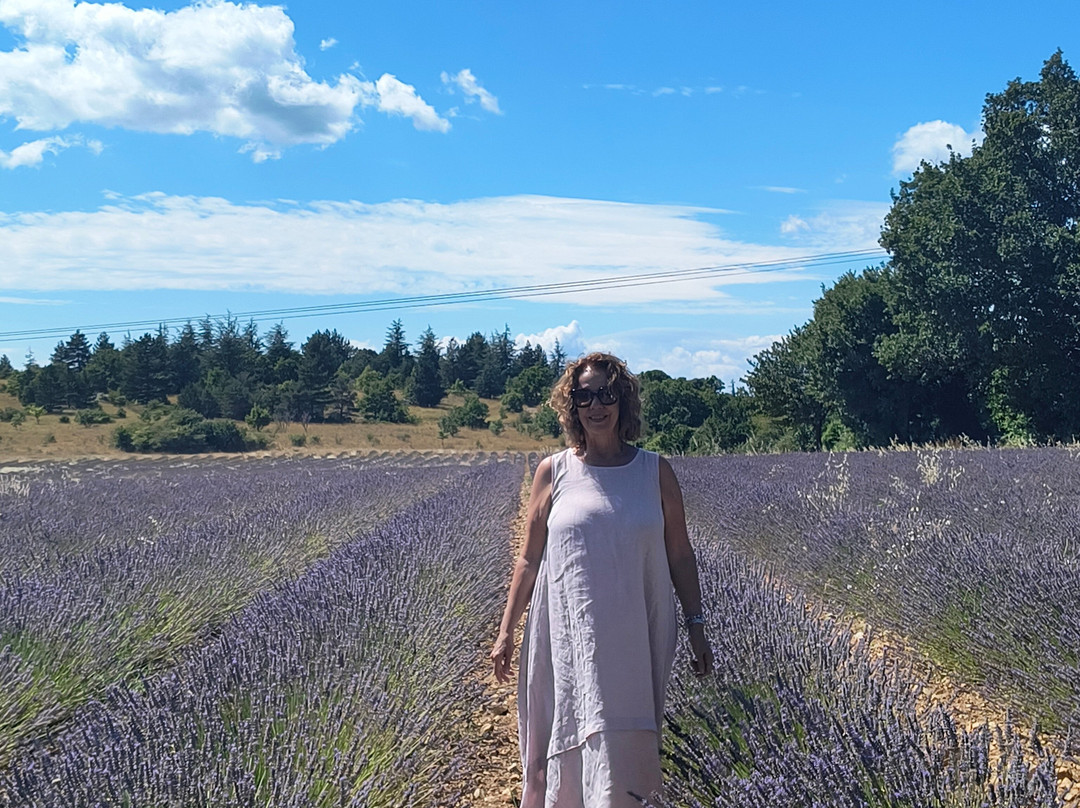 NA PROVENCE-普罗旺斯必去景点