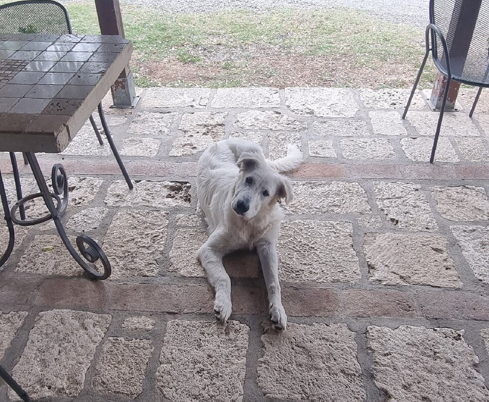 Agriturismo Poggio Mario主图