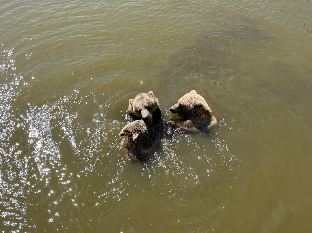 Scandinavian Wildlife Park-Kolind必去景点