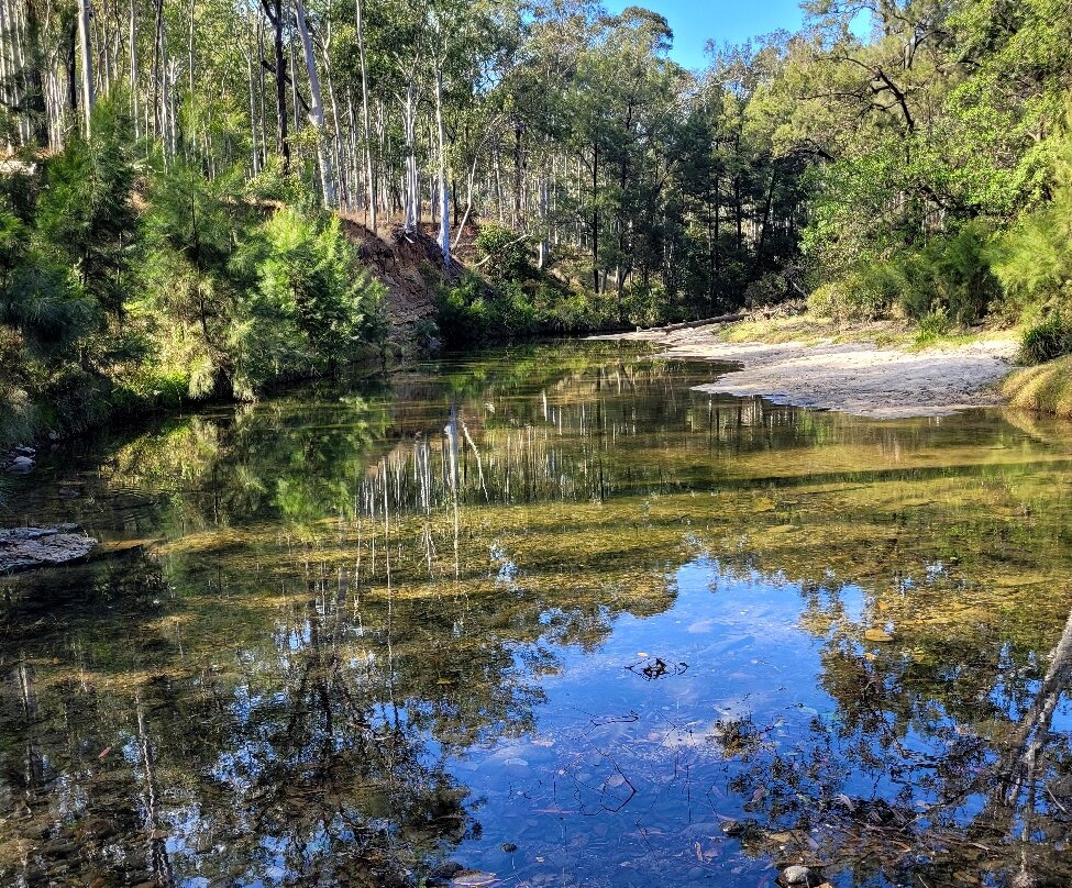 Central Queensland Nature Tours-罗尔斯顿必去景点