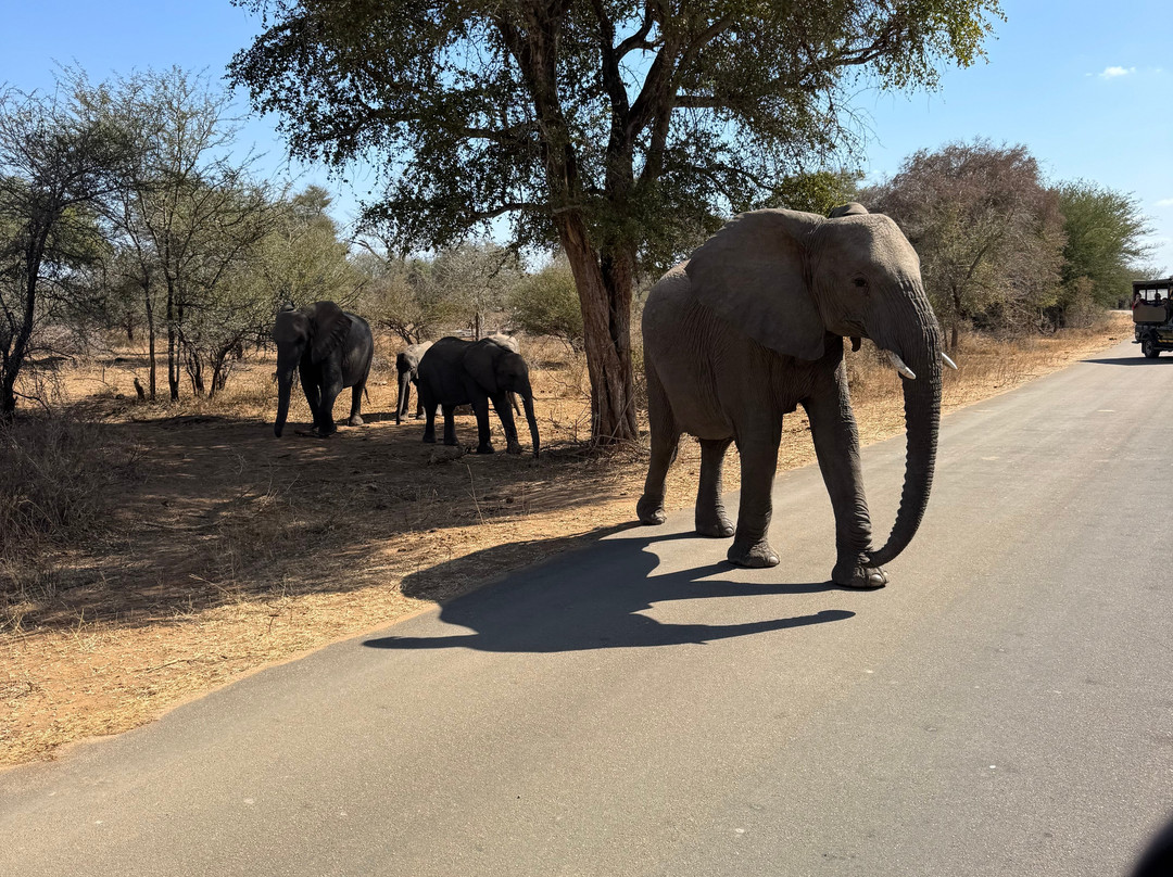Discover Kruger Safaris-库马堤港必去景点