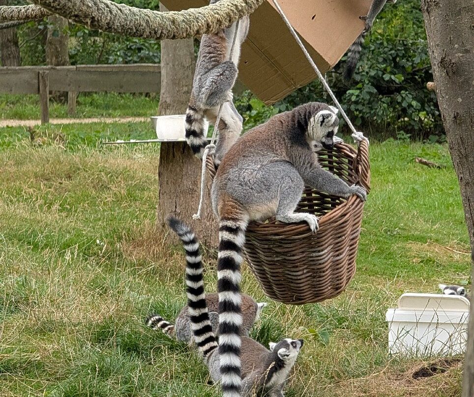 Landgoed Hoenderdaell-Anna Paulowna必去景点