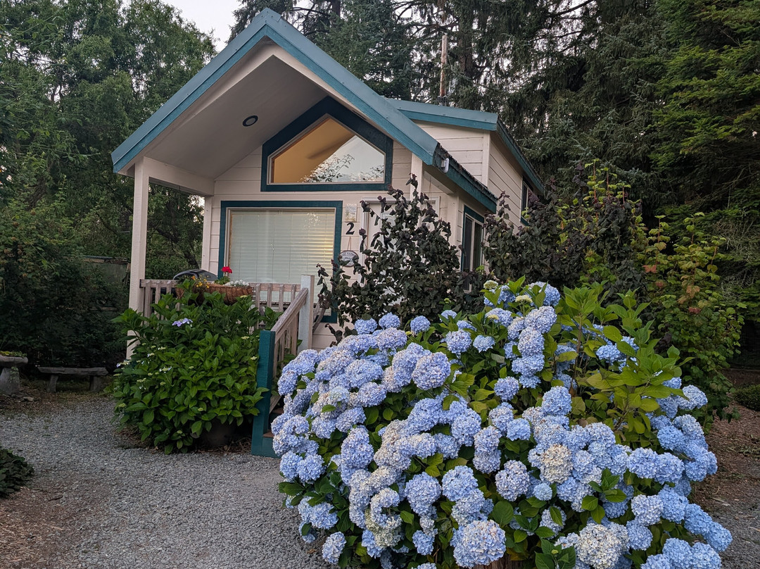 Sheltered Nook On Tillamook Bay主图