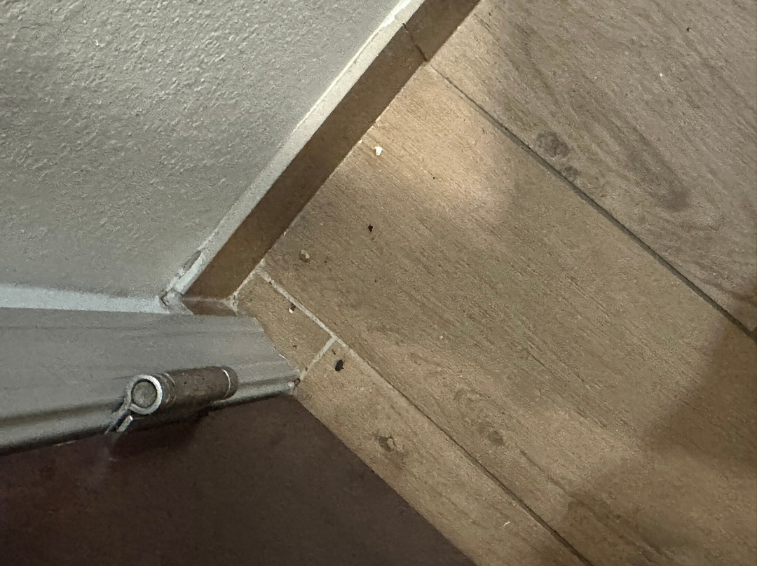 Holiday Inn Express & Suites Ardmore By IHG主图