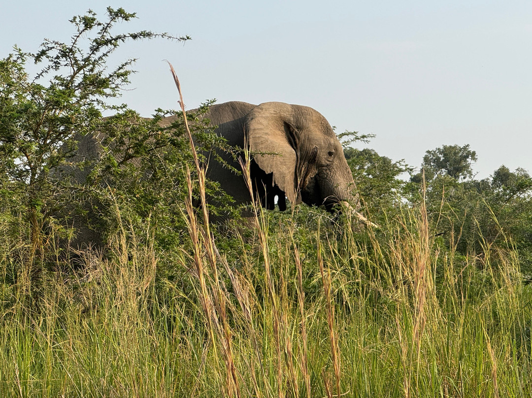 Kfir Adventures Ltd-马辛迪必去景点