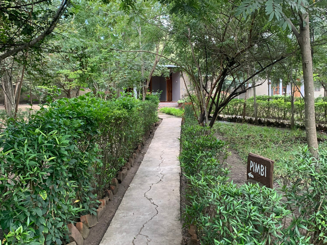 Kasaka Tours-Dar es Salaam必去景点