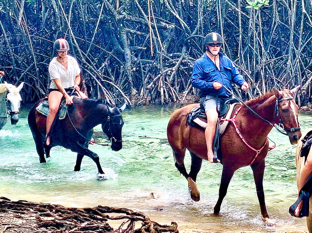 Santo Horse Adventures-卢甘维尔必去景点