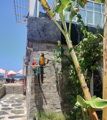 Alkady Travel-吉萨必去景点