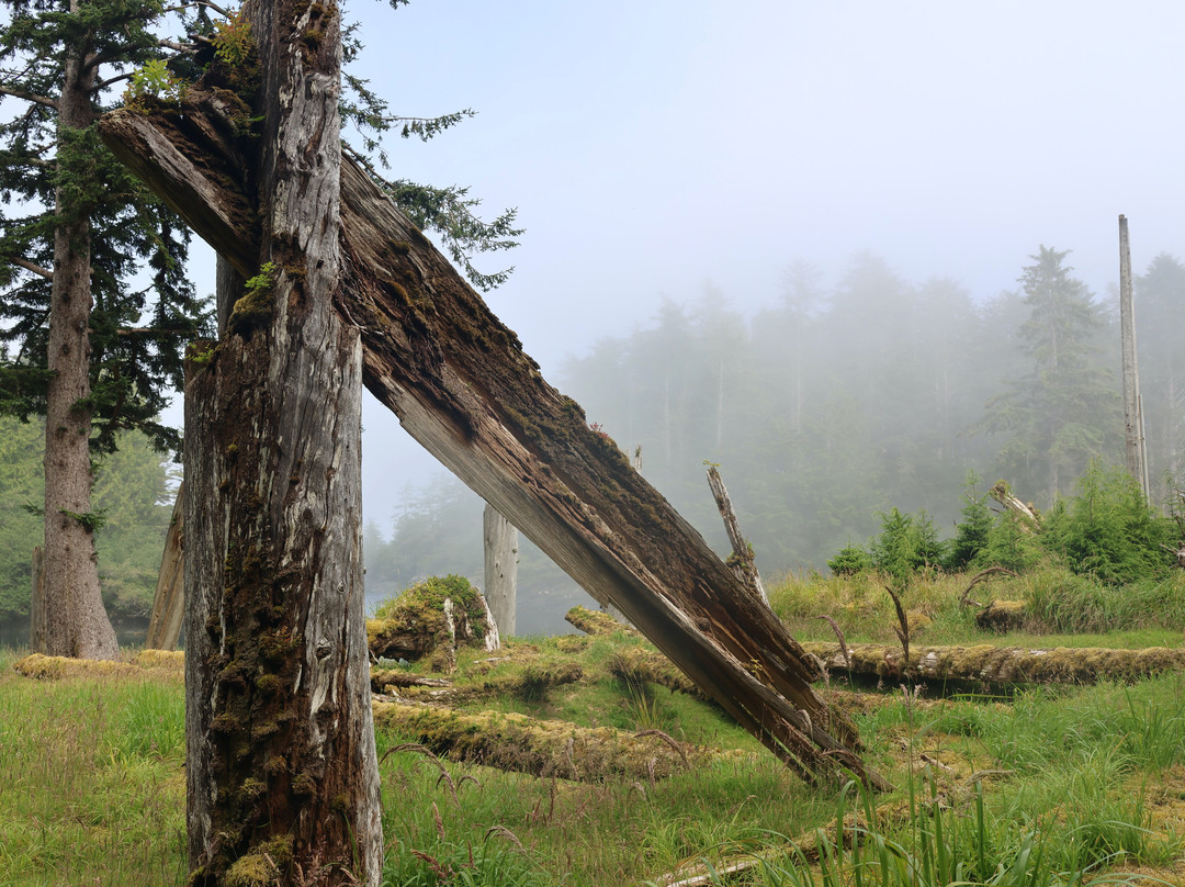 斯冈瓜伊(安东尼岛)-海达瓜(夏洛特皇后群岛)必去景点