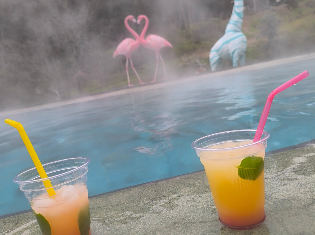 Vital Thermal Hotel & Spa主图