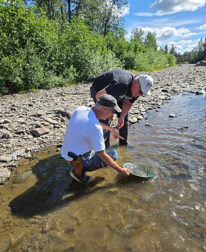 Denali Gold Tours-Trapper Creek必去景点